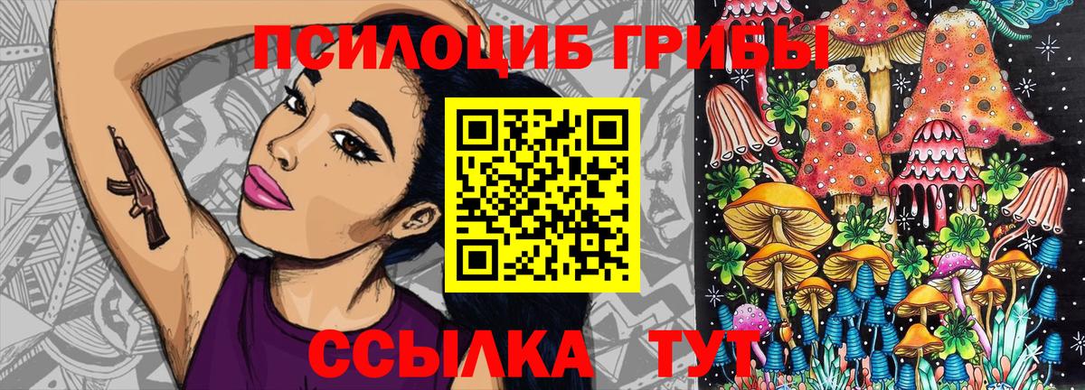 Бахчисарай  Галлюциногенные грибы Psilocybe  Вход с VPN 